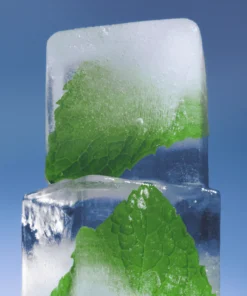 Sesh Mint Nicotine Pouches ice mint