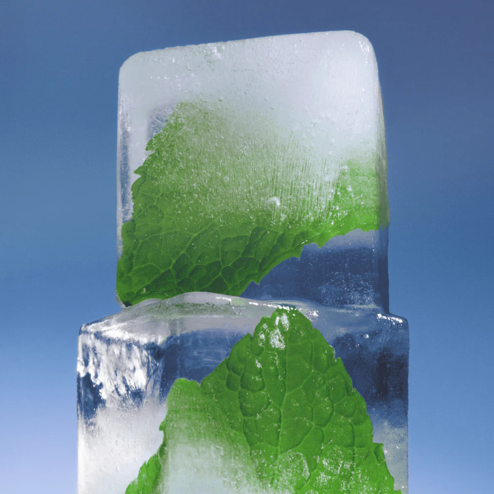 Sesh Mint Nicotine Pouches ice mint