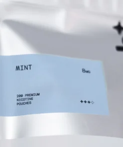 Sesh Mint Refill Bag 200 Pouches 5