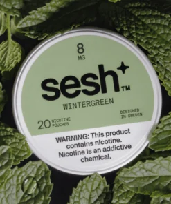 Sesh Wintergreen Nicotine Pouches 2