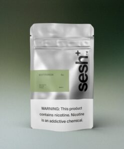 Sesh Wintergreen Refill Bag 200 Pouches 2
