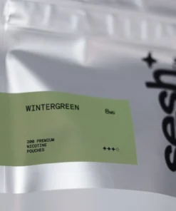 Sesh Wintergreen Refill Bag 200 Pouches 3