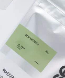 Sesh Wintergreen Refill Bag 200 Pouches 5