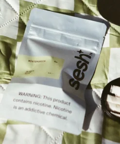 Sesh Wintergreen Refill Bag 200 Pouches 7
